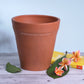Terracotta Pot 8 Inch Rim Pot