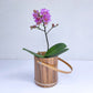Bamboo Basket Planter