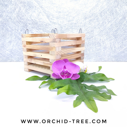 5 inch Wooden Hanging Planter - Buy Orchids Plants Online by Orchid-Tree.com