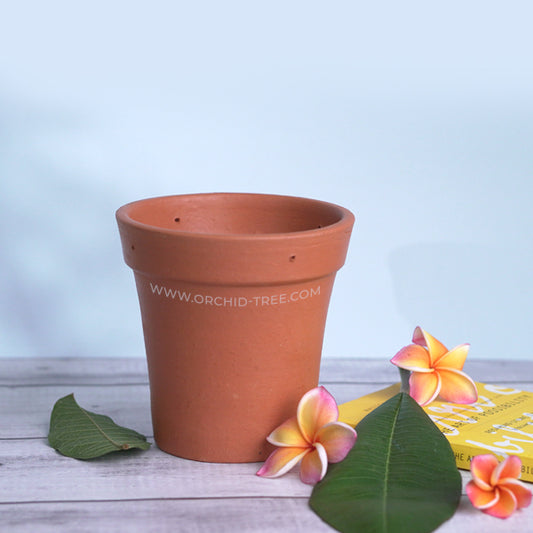 Terracotta Pot 4.5 Inch
